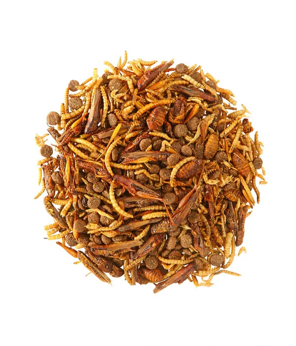 Dehner Natura Igel-Delikatesse, 100g 2 Dehner Natura Igel-Delikatesse, 100g – Bild 2