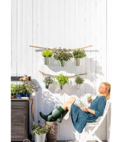 Dehner Gourmet Garten Zitronenmelisse -Garten Und Außenbereich 20181011 PR MO 003 Kraeuter 01