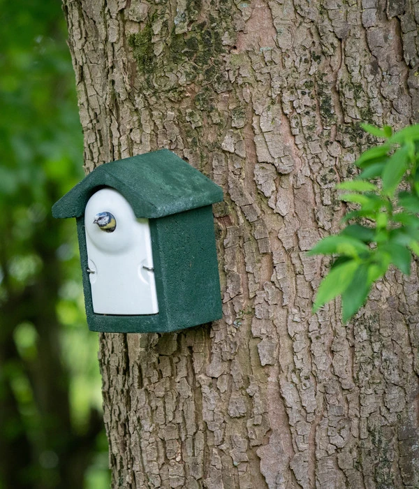 CJ Wildbird WoodStone® Nistkasten Holzbeton, Einflugloch Ca. Ø32 Mm, Grün 2 CJ Wildbird WoodStone® Nistkasten Holzbeton, Einflugloch Ca. Ø32 Mm, Grün – Bild 2