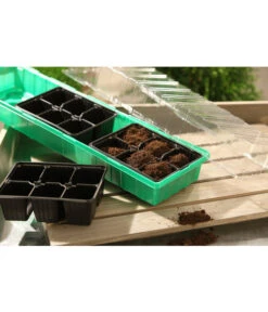 Dehner Zimmergewächshaus Frans, 54 X 15 X 12 Cm -Garten Und Außenbereich 207456 BildM 001 RombergZimmergewaechshausFransFensterbGewH54X15x12