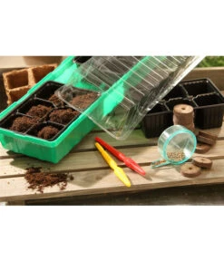 Dehner Zimmergewächshaus Frans, 54 X 15 X 12 Cm -Garten Und Außenbereich 207456 BildM 002 RombergZimmergewaechshausFransFensterbGewH54X15x12