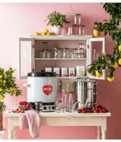 Dampfentsafter, 8 L -Garten Und Außenbereich 209304 WE MO 007 EinkochglasObst6Eck