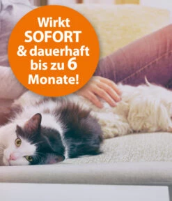 ARDAP® Ungeziefer-Vernebler Fogger, 200 Ml -Garten Und Außenbereich 2204196 WE DE 002 ArdapZhbUngezieferVerneblerFogger200ml