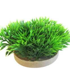 Sydeco Kit Kombi 1, Kunstpflanzen, 5 Stück -Garten Und Außenbereich 2999050 WE D 004 SydecoKombi1