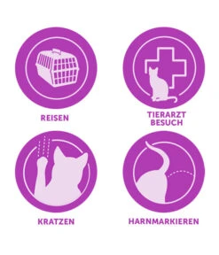 FELIWAY® Alltagshelfer Classic Nachfüllflakon -Garten Und Außenbereich 3019957 WE M 003 CevaFeliwayClassicStarterSet