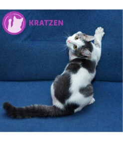 FELIWAY® Alltagshelfer Classic Nachfüllflakon -Garten Und Außenbereich 3019957 WE M 004 CevaFeliwayClassicStarterSet