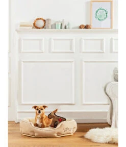 Dehner Lieblinge Kuschelbett Sammy, Oval, Beige -Garten Und Außenbereich 3032810 WE MO 002 DehnerHundebettSammyOvalBeige