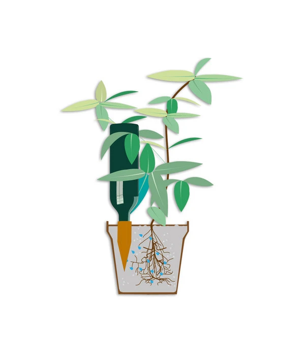 Bio Green Tonkegel Hydro Wine 4 Bio Green Tonkegel Hydro Wine – Bild 4