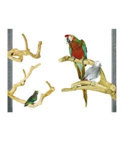 Java Kletterstange Sittiche Und Papageien Medium