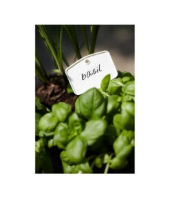 Elho Pflanz-Stift, 5 Stück -Garten Und Außenbereich 3266806 MO FS 001 PflanzstiftMweissElhoEtikett