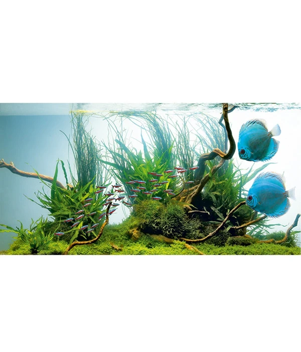 JUWEL® AQUARIUM Leuchtstoffröhren T5 HiLite Day 3 JUWEL® AQUARIUM Leuchtstoffröhren T5 HiLite Day – Bild 3