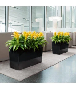 LECHUZA® CARARO, All-in-One-Set, 43 X 30 X 75 Cm -Garten Und Außenbereich 3409273 BildM 001 CararoSchwarzLechuza