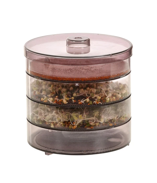 Dehner Sprossenhaus, 4 Schalen 4 Dehner Sprossenhaus, 4 Schalen – Bild 4