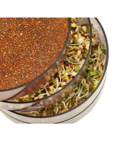 Dehner Sprossenhaus, 4 Schalen 6 Dehner Sprossenhaus, 4 Schalen -Garten Und Außenbereich 3677101 WE MO 002 DehnerSprossenhausKeimsprossen