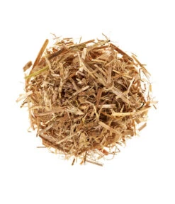 Bestseller -Garten Und Außenbereich 3940285 BildD 001 PilzmaennchenBioHomePilzzuchtsetAusternpilzPilzbrutAusternpilzSet