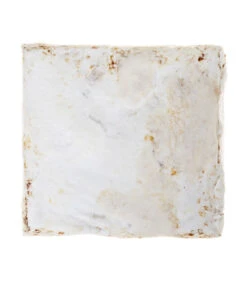 Pilzmännchen Bio Pilzzuchtset Austernpilz 5 Pilzmännchen Bio Pilzzuchtset Austernpilz -Garten Und Außenbereich 3940285 BildD 002 PilzmaennchenBioHomePilzzuchtsetAusternpilzPilzbrutAusternpilzSet