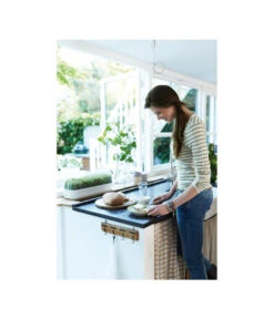 Elho Anzuchthaube L -Garten Und Außenbereich 4026704 WE MO 001 AnzuchthausLTransparentElho