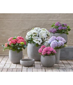 Dehner Leichtbeton-Schale Balloon Stone, Grau -Garten Und Außenbereich 4058046 4058087 4057972 WE MO 004 DehnerLeichtbetonTopfPflanztopfPflanzvase