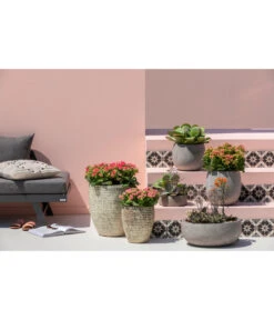 Dehner Leichtbeton-Schale Balloon Stone, Grau -Garten Und Außenbereich 4058046 4058087 4057972 WE MO 005 DehnerLeichtbetonTopfBalloon