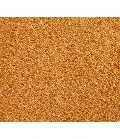 Dehner Senegalhirse, 1 Kg 5 Dehner Senegalhirse, 1 Kg -Garten Und Außenbereich 415224 BildD 001 DehnerQualitaetsfutterSenegalhirseSenegalhirse1Kg