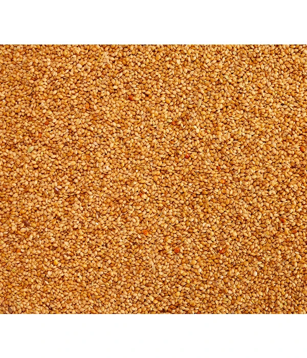 Dehner Senegalhirse, 1 Kg 3 Dehner Senegalhirse, 1 Kg – Bild 3