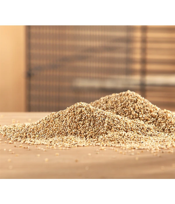 Dehner Senegalhirse, 1 Kg 2 Dehner Senegalhirse, 1 Kg – Bild 2