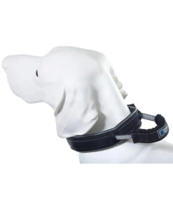 ArmoredTech® Hundehalsband Dog Control, Schwarz -Garten Und Außenbereich 4202438 4203071 4203485 WE D 002 AmoredTecHundehalsbandDogControlMSchwarz