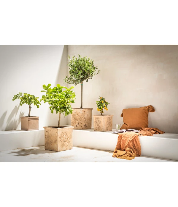 Dehner Terrakotta-Topf, Terrakotta-antik 2 Dehner Terrakotta-Topf, Terrakotta-antik – Bild 2