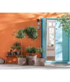 Dehner Terrakotta-Topf, Terrakotta-antik 6 Dehner Terrakotta-Topf, Terrakotta-antik -Garten Und Außenbereich 4273751 4273777 4273785 WE MO 002 TerrakottaTopf