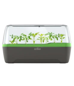 Romberg BoQube Gewächshaus -Garten Und Außenbereich 4299970 WE FS 005 RombergGewaechshausZimmergewaechshausAnzucht