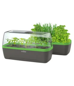 Romberg BoQube Gewächshaus -Garten Und Außenbereich 4299970 WE FS 006 BoQubeGewaechshausZimmergewaechshaus