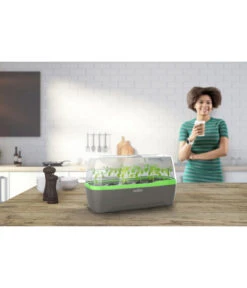 Romberg BoQube Gewächshaus -Garten Und Außenbereich 4299970 WE MO 001 RombergGewaechshausZimmergewaechshausAnzucht