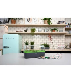 Romberg BoQube Gewächshaus -Garten Und Außenbereich 4299970 WE MO 002 BoQubeGewaechshausZimmergewaechshaus