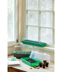 Romberg Zimmergewächshaus -Garten Und Außenbereich 4299970 WE MO 004 BoQubeZimmergewaechshaus