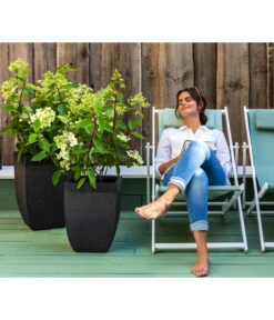 Dehner Strandstuhl Aruba -Garten Und Außenbereich 4418422 WE MO 002 StrandstuhlArubaNeu