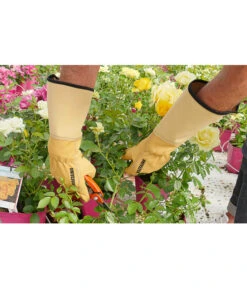 Lederhandschuh Roseraie -Garten Und Außenbereich 4439774 WE MO 001 Gartenhandschuhe