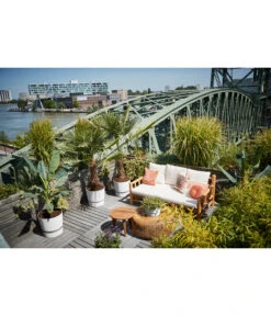 Elho Kunststoff-Topf Greenville -Garten Und Außenbereich 4474318 4474342 WE MO 003 elhoKunststoffTopfGreenville