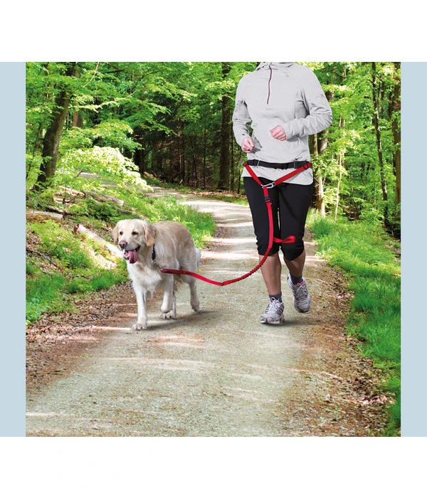 Trixie Bauchgurt Mit Leine, Rot 2 Trixie Bauchgurt Mit Leine, Rot – Bild 2