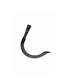 Freund Victoria Sauzahn