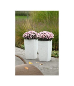 Dehner Kunststoff-Flechttopf Dallas, Quadratisch -Garten Und Außenbereich 5336508 WE MO 002 KunststoffFlechttopf30x30cmWeissDehnerLiving