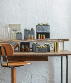 Dehner Zement-Jardiniere Slate, Rechteckig, Grau -Garten Und Außenbereich 5338900 WE MO 001 SerieSlateGrau 5338918 5056221 5056155 384281