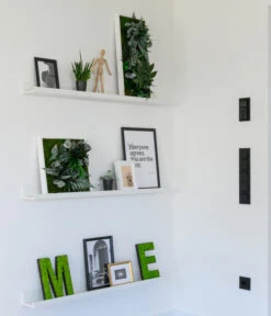 StyleGREEN Bild Im Dschungeldesign, Rechteckig, Ca. B57/H27/T16 Cm 7 StyleGREEN Bild Im Dschungeldesign, Rechteckig, Ca. B57/H27/T16 Cm -Garten Und Außenbereich 6429930 WE MO 002 Pflanzenbild57x27cmStylegreen