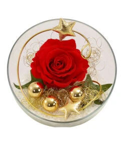 Longlife-Rose, Ca. Ø3 Cm -Garten Und Außenbereich 6592539 WE FS 001 LongLifeRoseRotinGlaskugel