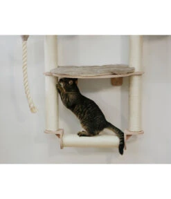 KERBL Wandkratzbaum Dolomit Grappa Pro, Beige, Ca. B70/H138/T66 Cm -Garten Und Außenbereich 6603245 WE MO 002 KratzbaumDolomitGrappaPro