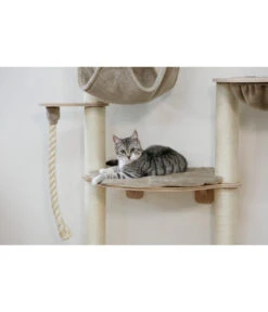 KERBL Wandkratzbaum Dolomit Grappa Pro, Beige, Ca. B70/H138/T66 Cm -Garten Und Außenbereich 6603245 WE MO 003 KratzbaumDolomitGrappaPro