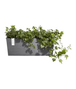 Ecopots Kunststoff-Kasten Bruges Hängend, Rechteckig, Grau, Ca. B55/H21/T20 Cm -Garten Und Außenbereich 6614416 WE FS 003 EcopotsKunststoffKastenBrugeshaengendrechteckiggrau