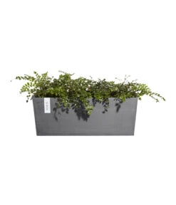 Ecopots Kunststoff-Kasten Bruges Hängend, Rechteckig, Grau, Ca. B55/H21/T20 Cm -Garten Und Außenbereich 6614416 WE FS 004 EcopotsKunststoffKastenBrugeshaengendrechteckiggrau
