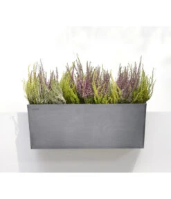 Ecopots Kunststoff-Kasten Bruges Hängend, Rechteckig, Grau, Ca. B55/H21/T20 Cm -Garten Und Außenbereich 6614416 WE MO 001 EcopotsKunststoffKastenBrugeshaengendrechteckiggrau