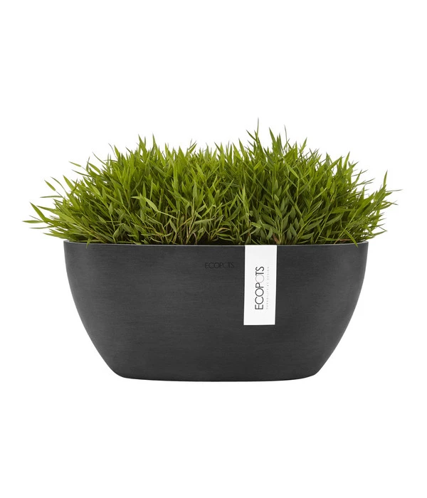 Ecopots Kunststoff-Schale Sofia Mit Wassersystem, Oval, Dunkelgrau, Ca. B30/H13,5/T13 Cm 2 Ecopots Kunststoff-Schale Sofia Mit Wassersystem, Oval, Dunkelgrau, Ca. B30/H13,5/T13 Cm – Bild 2