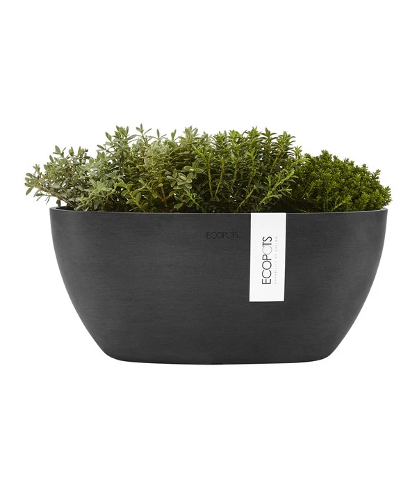 Ecopots Kunststoff-Schale Sofia Mit Wassersystem, Oval, Dunkelgrau, Ca. B30/H13,5/T13 Cm 3 Ecopots Kunststoff-Schale Sofia Mit Wassersystem, Oval, Dunkelgrau, Ca. B30/H13,5/T13 Cm – Bild 3